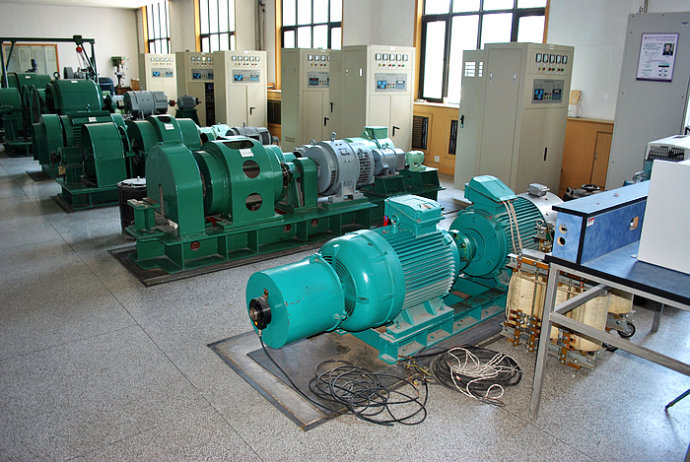 山东某热电厂使用我厂的YKK高压电机提供动力